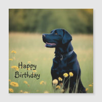 Carte magnétique Black Lab