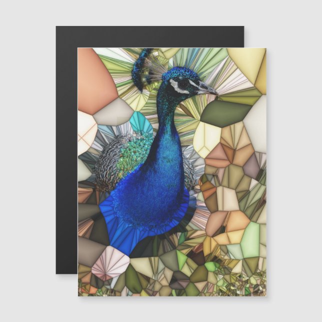 Carte magnétique colorée Peacock Mosaic (Devant / Derrière)