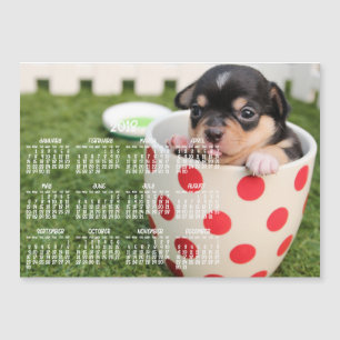 Carte magnétique Cute Chihuahua Calendar 2018 5x7