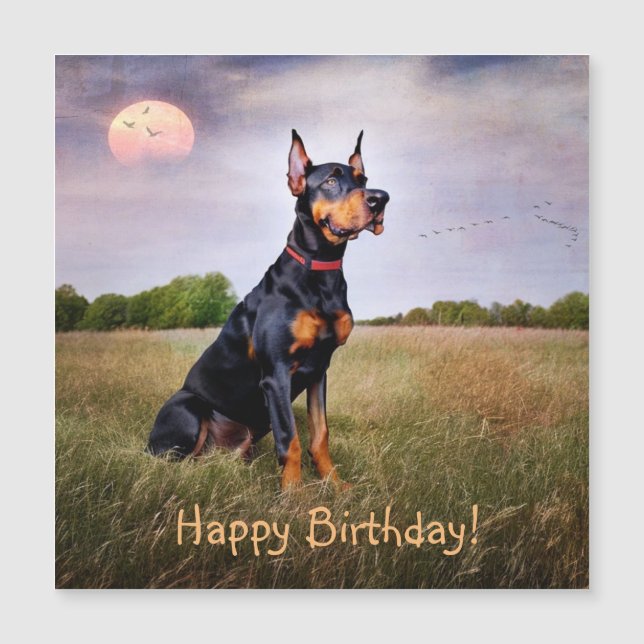 Carte magnétique d'anniversaire Doberman Pinscher (Devant)