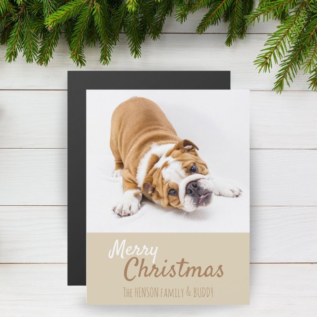 Carte magnétique de Noël avec photo de chiot Boule (Créateur téléchargé)