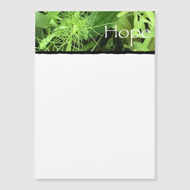 Carte magnétique Hope (Devant)