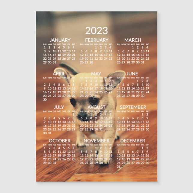 Carte magnétique photo Calendrier Chihuahua 2023 (Devant)