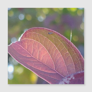 Carte magnétique Red Fall Leaf Et Bokeh