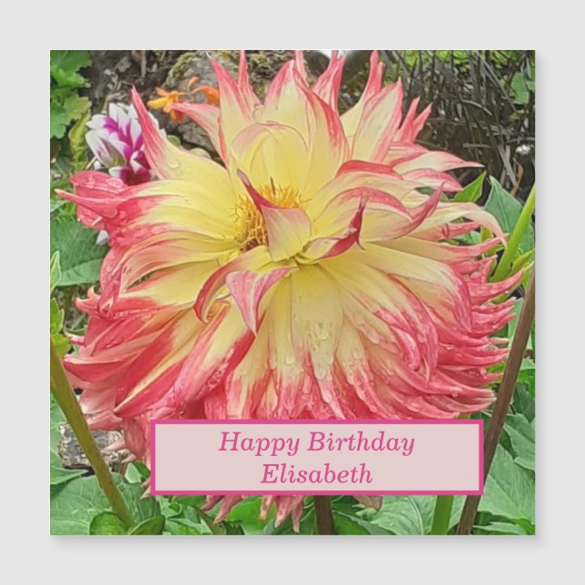 Carte magnétique rose et jaune Dahlia (Devant)