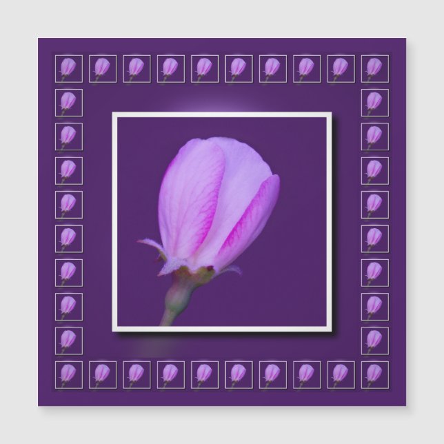 Carte magnétique rose 'n Purple Spring Blossom (Devant)