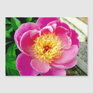 Carte magnétique rose Peony