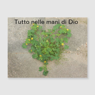 Carte magnétique, spirituelle