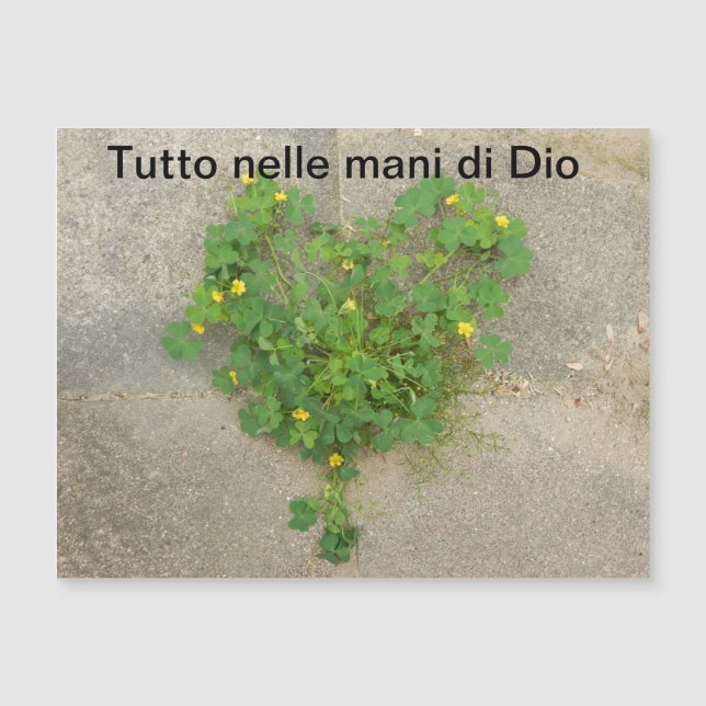 Carte magnétique, spirituelle (Devant)