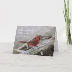 Carte Magnifique cardinal avec citation