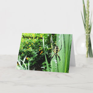 Carte Magnifique Jaune et Jardin Noir Spider Photographi