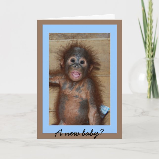 Carte Magnifique nouvelle Baby Monkey Business (Devant)