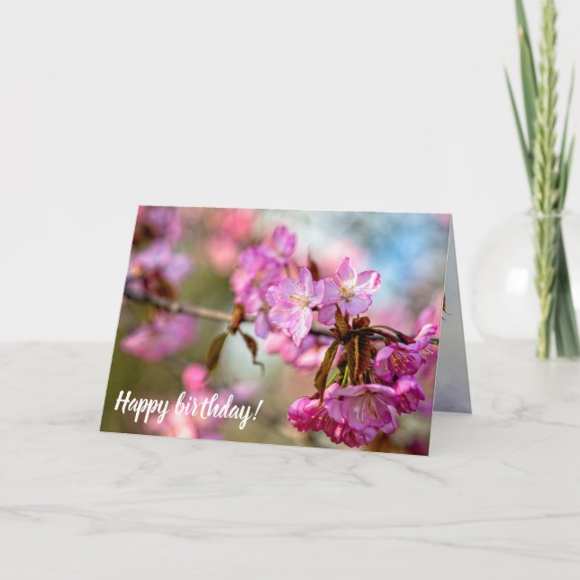 Carte Magnifique Sakura Rose Dans Le Jardin De Printemps (Devant)