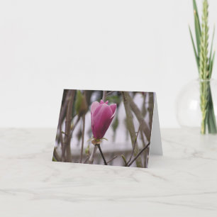 Carte Magnolia