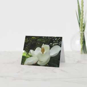 Carte Magnolia Blossom