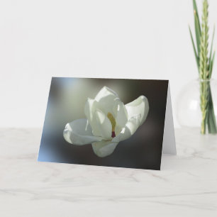 Carte Magnolia grandiflora