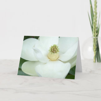 Carte Magnolia magnifiée