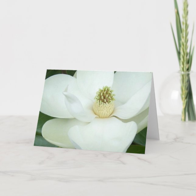 Carte Magnolia magnifiée (Devant)