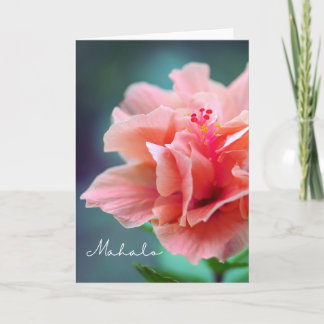 Carte Mahalo Merci Hawaï - Hibiscus rose Gros plan