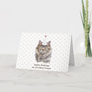 Carte Maine coon casquette de la fête du chat fêter l'an