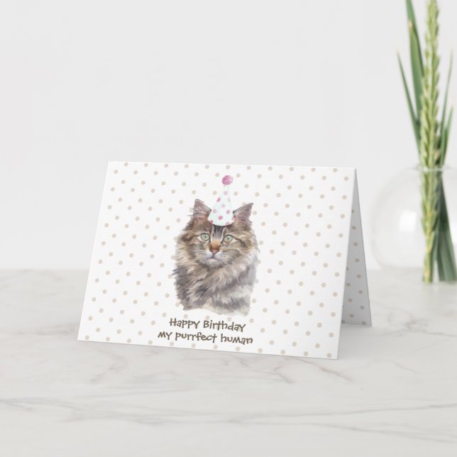 Carte Maine coon casquette de la fête du chat fêter l'an (Devant)
