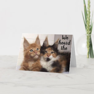 CARTE MAINE COON CATS DIT **30** JOLI ANNIVERSAIRE