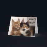 CARTE MAINE COON CATS SAY **30?** YOU? BIRTHDAY CARD<br><div class="desc">THESE TWO MAINE COON CATS ARE SO CUTE SO THEY ARE ON A FEW OF MY CARDS HERE AT OverWhatHill with different verses and of course DIFFERENT AGES but YOU CAN CHANGE THE AGE IN SECONDS OR ANYTHING ON MY CARDS IF YOU WISH. THANKS FOR STOPPING BY ONE OF MY...</div>