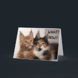 CARTE MAINE COON CATS SAY **30?** YOU? BIRTHDAY CARD<br><div class="desc">THESE TWO MAINE COON CATS ARE SO CUTE SO THEY ARE ON A FEW OF MY CARDS HERE AT OverWhatHill with different verses and of course DIFFERENT AGES but YOU CAN CHANGE THE AGE IN SECONDS OR ANYTHING ON MY CARDS IF YOU WISH. THANKS FOR STOPPING BY ONE OF MY...</div>