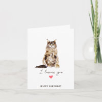 Maine Coon Chat Maman Papa Animaux de famille Anni