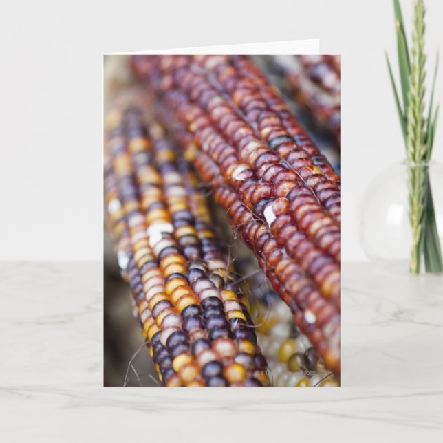 Carte Maïs au carré Greenmarket, nouveau Y des syndicats (Devant)