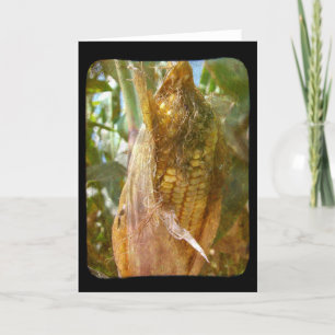 Carte Maïs Sur Le Fou