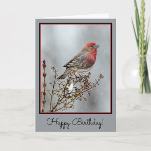 Carte Maison Finch en Neige - Photo originale