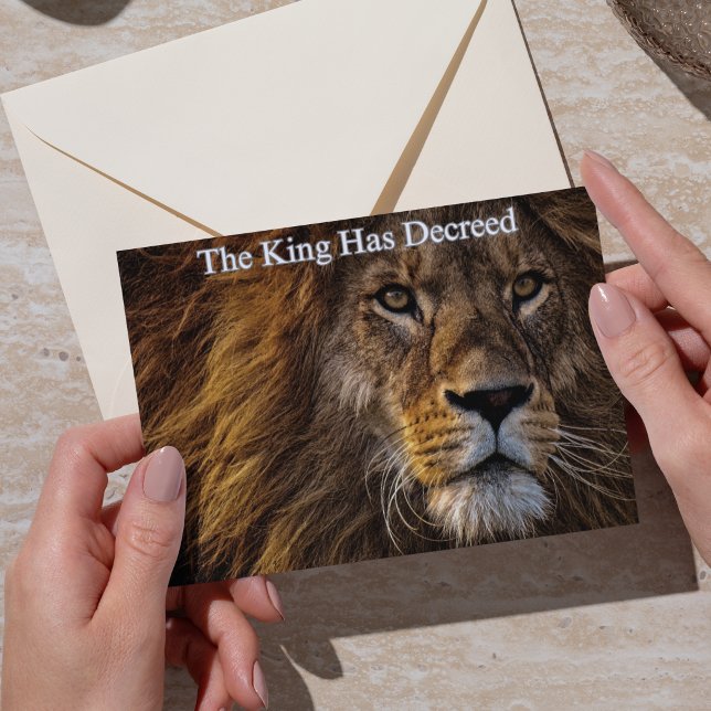 Carte Majestueux Lion Anniversaire Drôle (Majestic Lion Funny Birthday Greeting)