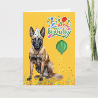 Malinois belge en Casquette de parti à l'anniversa