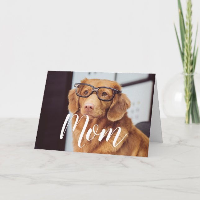 Carte Maman Animal Photo Happy Mothers Day Cute Funny Ch (Devant)
