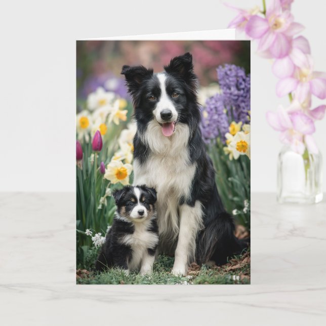 Carte Maman Border Collie Fête des Mères Amour (Orchidée)
