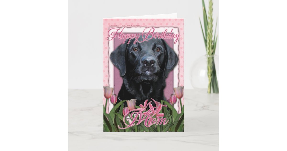 Chien Carte D Anniversaire Qualite Carte De Vœux Labrador Illustration Made In Uk Maison Cartes De Voeux Papeterie