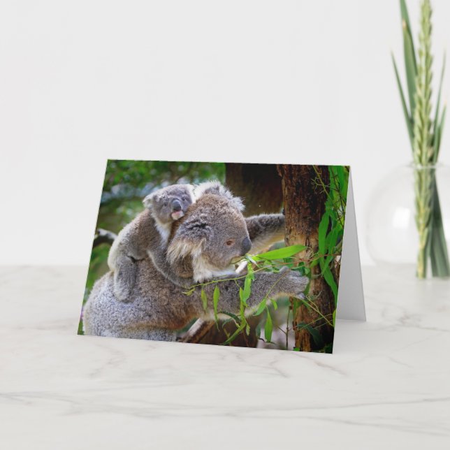 Carte Maman et Baby Koalas (Devant)