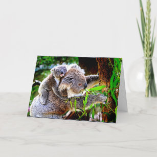 Carte Maman Koala et bébé Joey dans un arbre