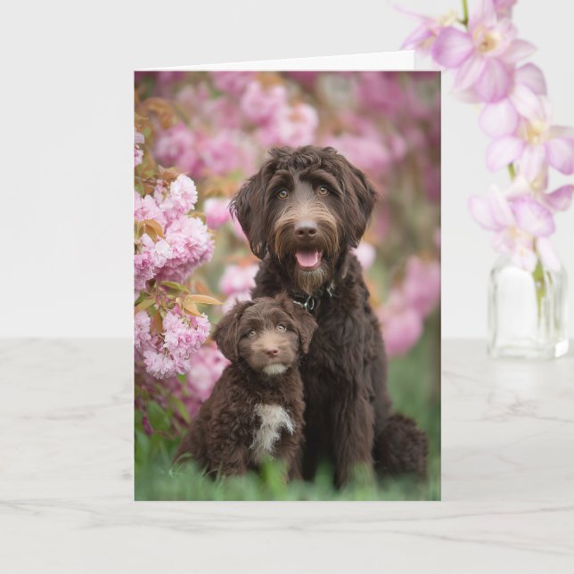 Carte Maman Labradoodle Fête des Mères Amour (Orchidée)