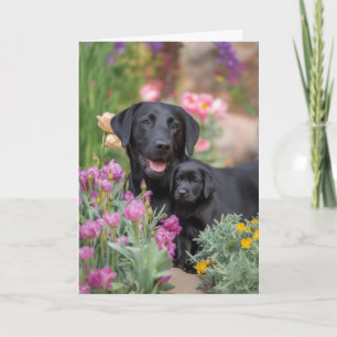 Carte Maman Labrador noir Fête des mères Amour