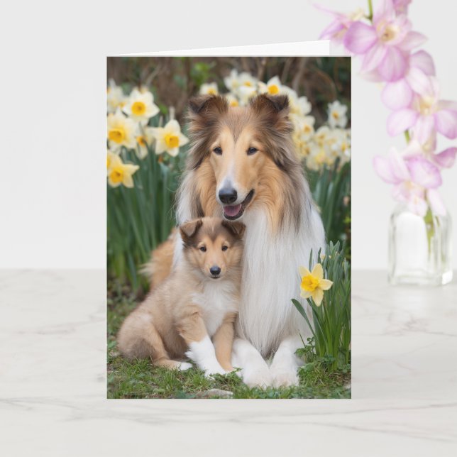 Carte Maman Rough Collie Fête des Mères Amour (Orchidée)