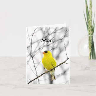 CARTE "MAMAN" SUR VOTRE ANNIVERSAIRE TWEETER HEUREUX ANN