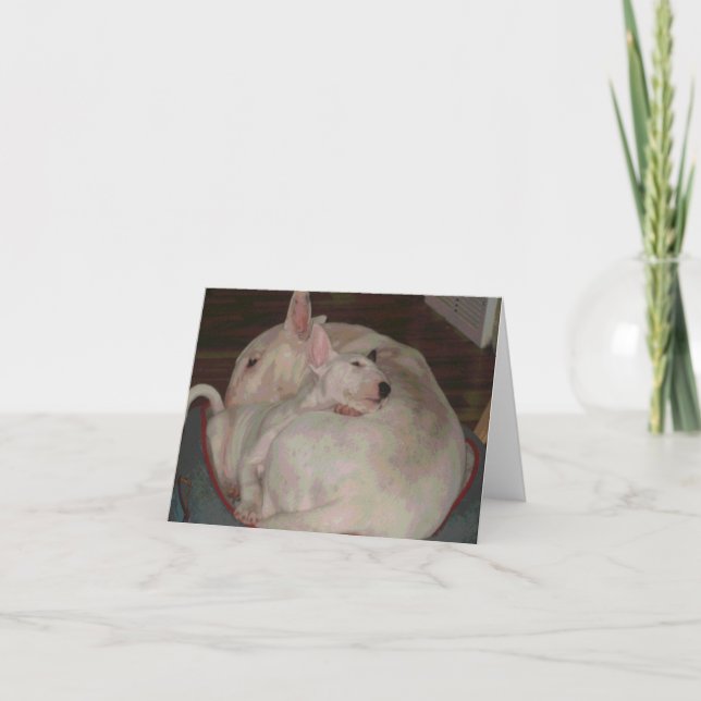 Carte Mamans et fils de despote (Devant)