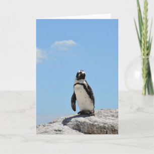 Carte Manchot mignon solitaire et ciel bleu
