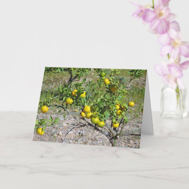 Carte Mandarin Orange Tree (Orchidée)