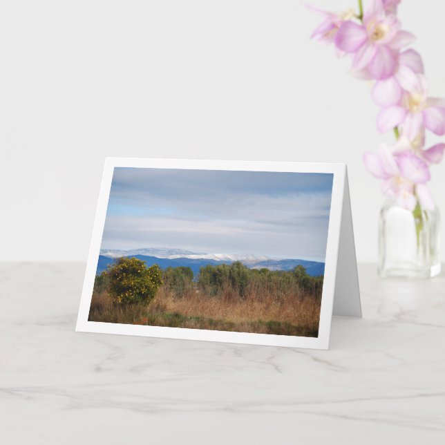 Carte Mandarin Orange Tree et Snowy Mountains (Orchidée)