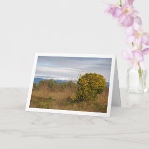 Carte Mandarin Orange Tree et Snowy Mountains