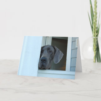 Carte Manquant vous cardez