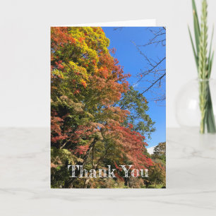 Carte Maples colorées vives